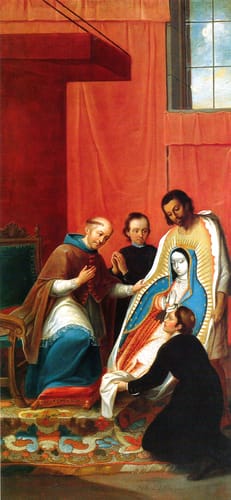 4263 andres de islas fmd entrega lienzo guadalupe zumarraga 1773 mx