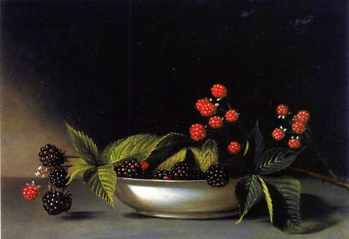 19887 raphaelle peale fresas 1813 eeuu