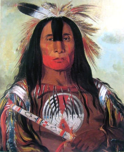 19905 george catlin buffalo bulls n%c2%bfback fat 1832 eeuu