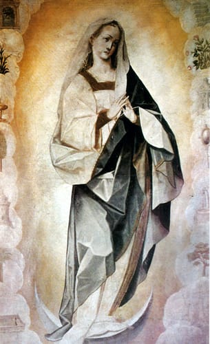 20563 pareceida 1243 bitti inmaculada concepcion xvii pe